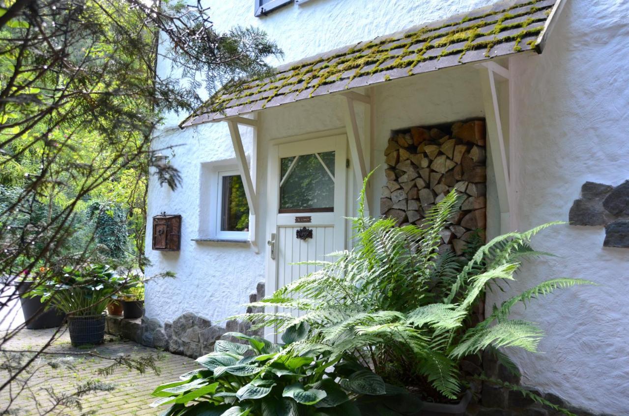 Birgits Landhaus Willingen Willingen  Buitenkant foto