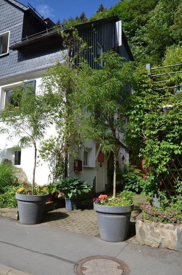 Birgits Landhaus Willingen Willingen  Buitenkant foto