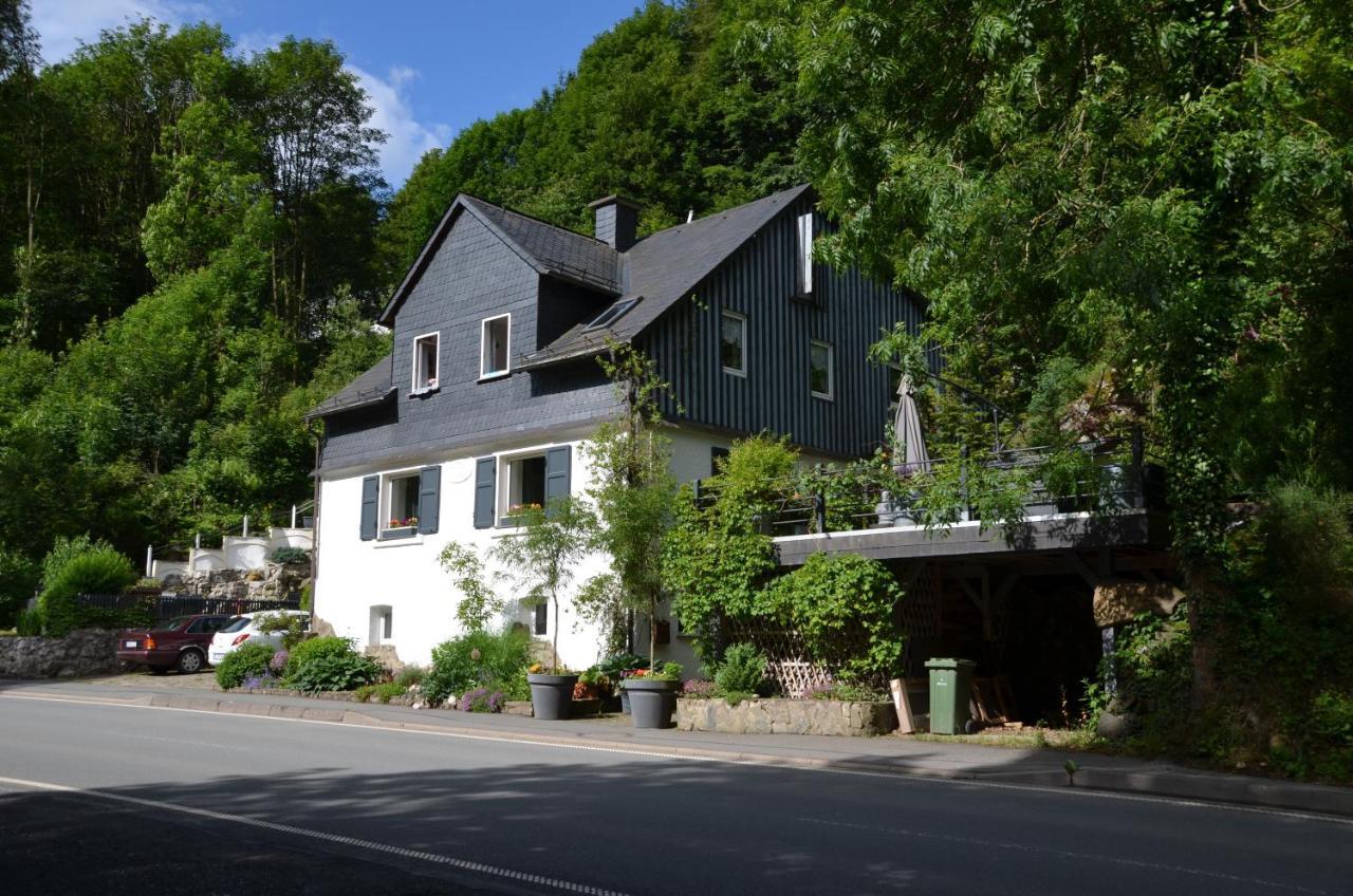 Birgits Landhaus Willingen Willingen  Buitenkant foto