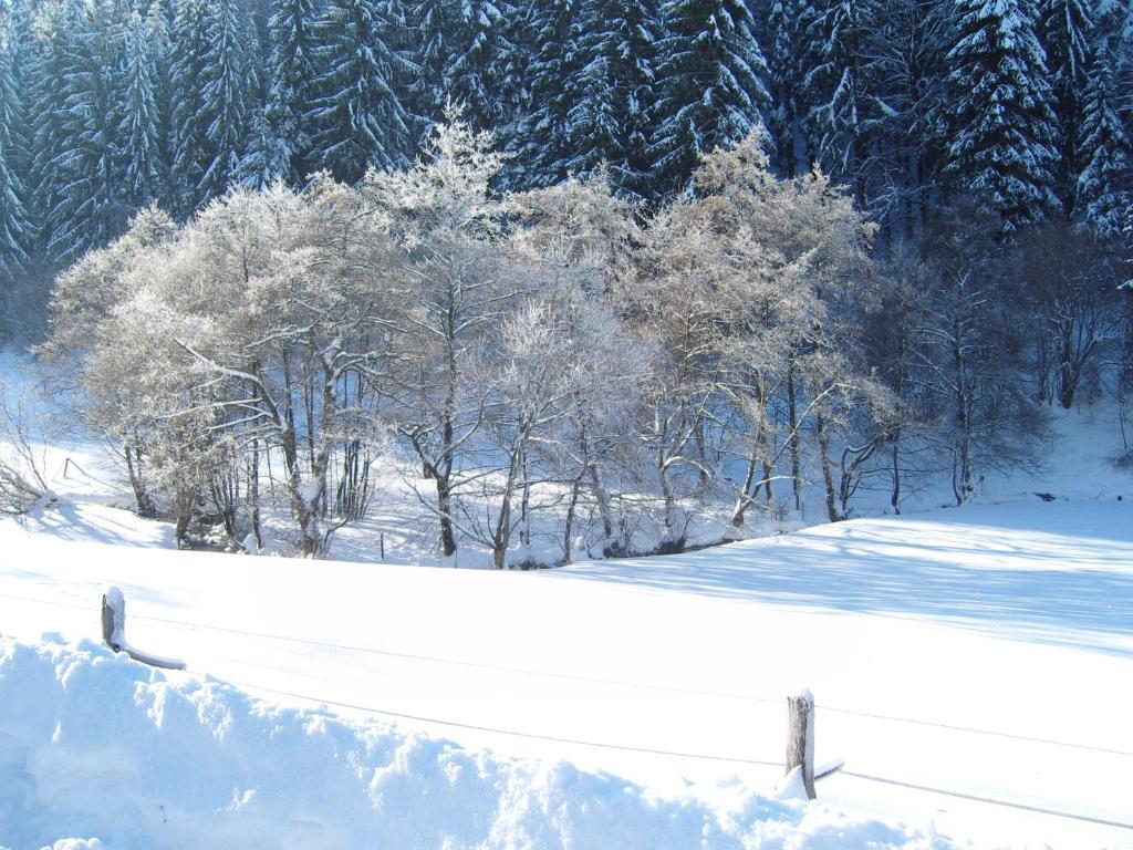 Birgits Landhaus Willingen Willingen  Buitenkant foto